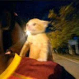 Meet your Posher, Bryan